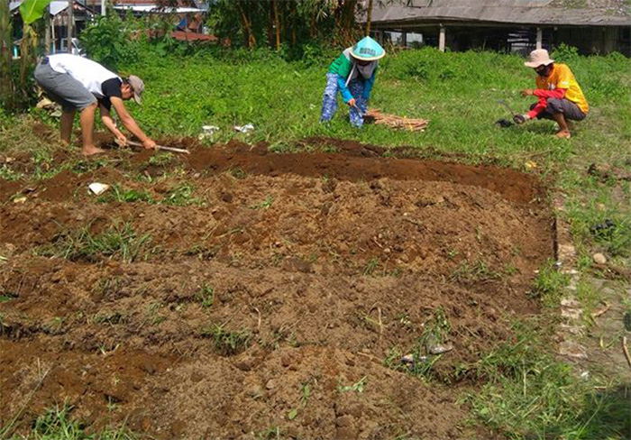 Pemanfaatan Lahan Tidur untuk Ketahanan Pangan